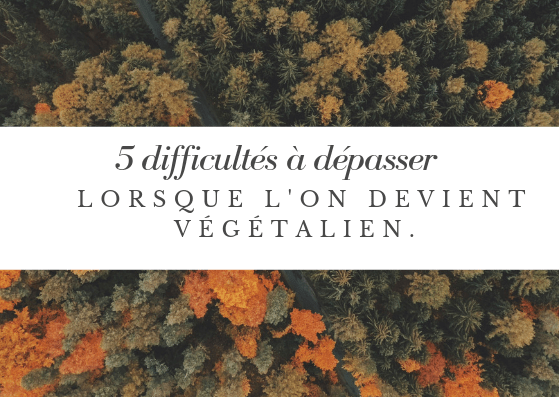 5 difficultés à dépasser lorsque l'on devient végétalien végane 